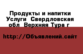 Продукты и напитки Услуги. Свердловская обл.,Верхняя Тура г.